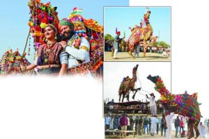 Camel Festival: ऊंटों का रोमांचक महोत्सव